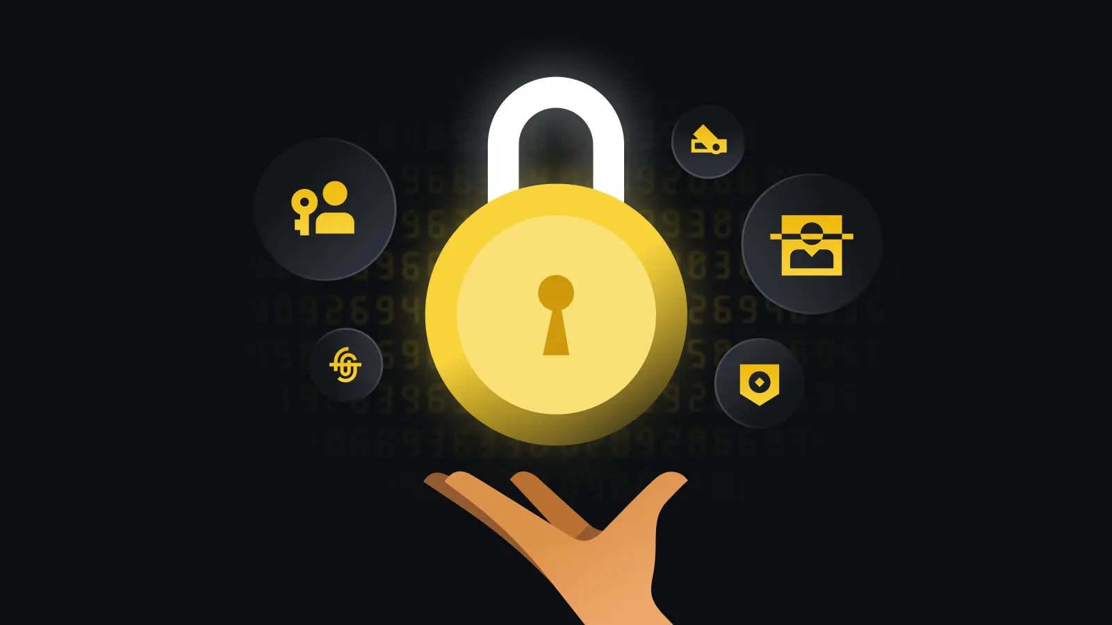 币案入口全球化交易网络分布图